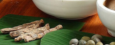 Ajurvedska zelišča in imunski sistem